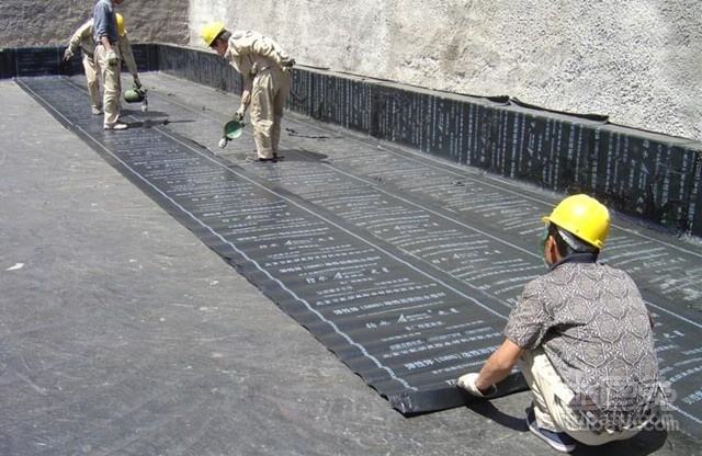 耐根穿刺防水卷材 耐根穿刺防水卷材