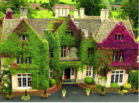 耐根穿刺防水卷材 耐根穿刺防水卷材