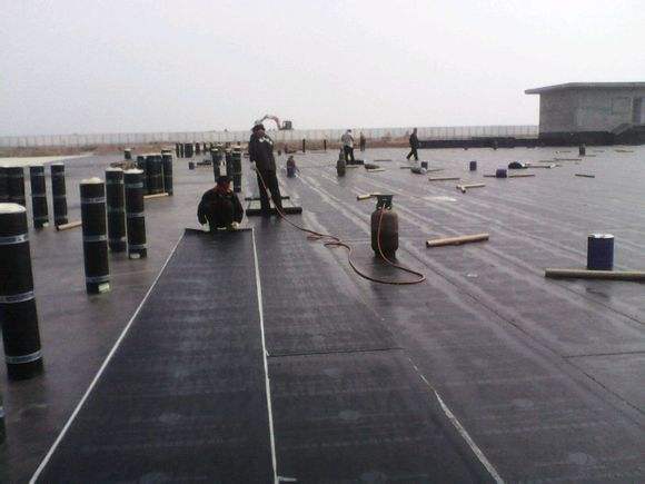 耐根穿刺防水卷材.jpg 耐根穿刺防水卷材.jpg