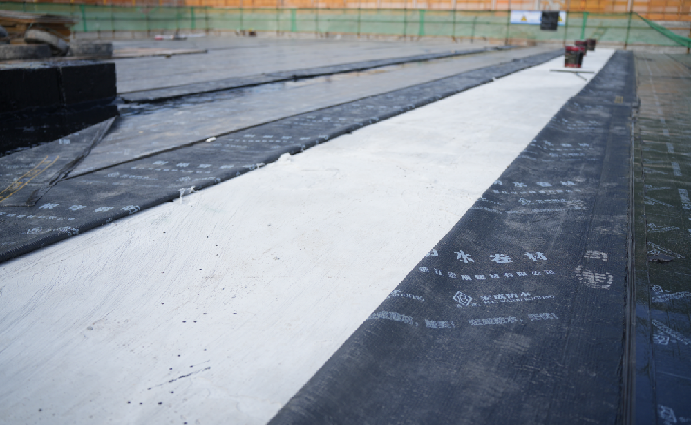 1723252866647383.png 1723252527162.png