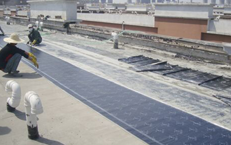 1725410550107675.jpg 35.jpg